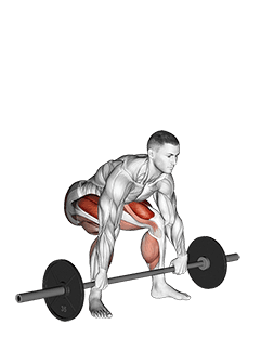 Barbell Snatch Deadlift exercise demonstration