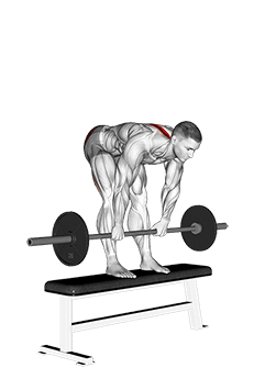 Barbell Stiff Leg Deadlift on Bench exercise demonstration for Hips, Barbell