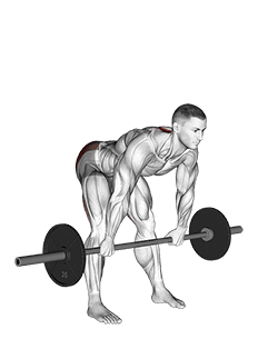 Barbell Wide Stance Stiff Leg Deadlift exercise demonstration for Hips, Barbell