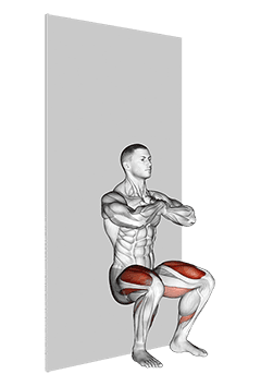 Bodyweight Wall Squat exercise demonstration