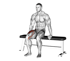 Chair Leg Extended Stretch exercise demonstration for Thighs, Body weight