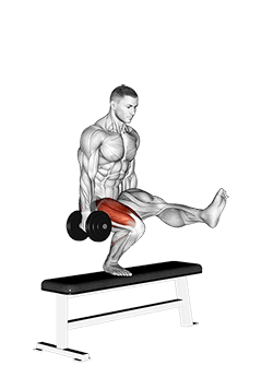 Dumbbell Bench One Leg Squat exercise demonstration for Thighs, Dumbbell
