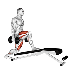 Dumbbell Decline Bench Lunge exercise demonstration for Thighs, Dumbbell