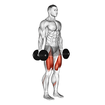 Squat exercise demonstration for Quadriceps, and Thighs, Dumbbell