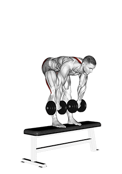 Dumbbell Stiff Leg Deadlift on Bench exercise demonstration for Hips, Dumbbell