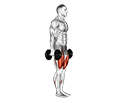 Dumbbell Walking Lunges exercise demonstration for Quadriceps, and Thighs, Dumbbell
