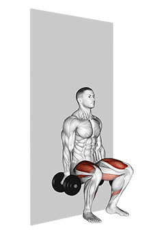 Dumbbell Wall Squat exercise demonstration for Thighs, Dumbbell
