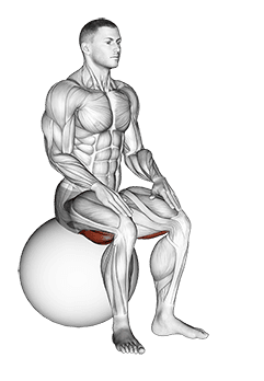 Exercise Ball Seated Hamstring Stretch exercise demonstration