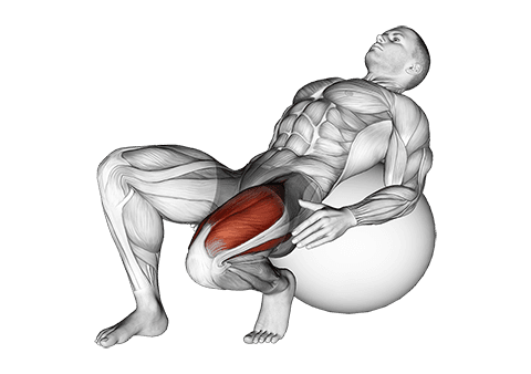 Exercise Ball Seated Quad Stretch exercise demonstration for Thighs, Stability ball