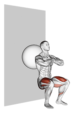 Exercise Ball Wall Squat exercise demonstration