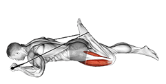 Intermediate Hip Flexor and Quad Stretch exercise demonstration for Thighs, Rope