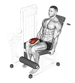 Lever One Leg Extension exercise demonstration for Quadriceps, and Thighs, Leverage machine