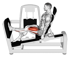 Lever Seated One Leg Squat exercise demonstration for Thighs, Leverage machine