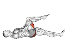 Leg Up Hamstring Stretch exercise demonstration