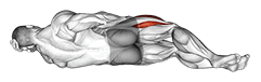 Lying Hip Flexor exercise demonstration for Thighs, Body weight