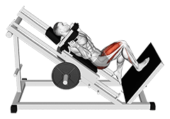 Sled One Leg Hack Squat exercise demonstration for Thighs, Sled machine