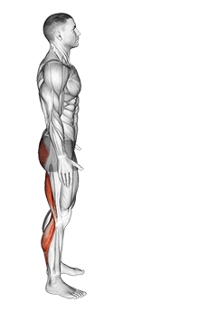 Runners Stretch exercise demonstration for Thighs, Body weight