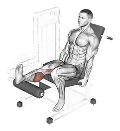 Lever Seated One Leg Curl exercise demonstration for Hamstrings, and Thighs, Leverage machine