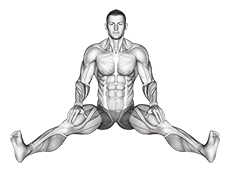 Seated Wide Angle Pose Sequence exercise demonstration for Thighs, Body weight