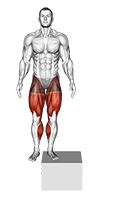 Side to Side Box Shuffle exercise demonstration for Plyometrics, Body weight