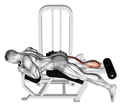 Lever Lying Single Leg Curl exercise demonstration for Hamstrings, and Thighs, Leverage machine