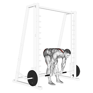 Smith Stiff Legged Deadlift exercise demonstration