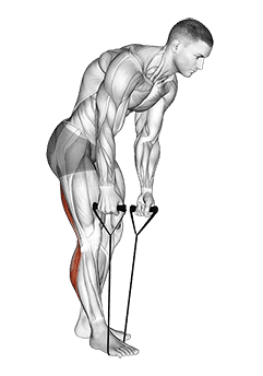 Standing Hamstring and Calf Stretch with Strap exercise demonstration