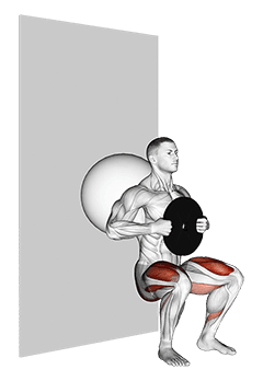 Weighted Exercise Ball Wall Squat exercise demonstration