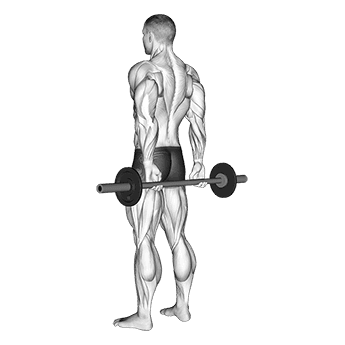 Behind Back Finger Curl exercise demonstration