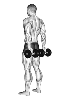 Dumbbell Behind Back Finger Curl exercise demonstration for Forearms, Dumbbell