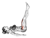 Alternate Leg Raise exercise demonstration