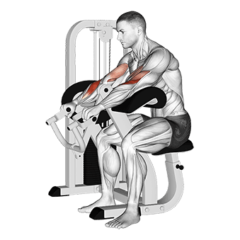 Lever Reverse Grip Preacher Curl exercise demonstration for Biceps, and Upper Arms, Leverage machine