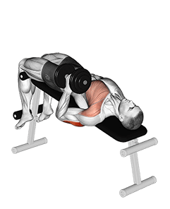 Dumbbell Decline One Arm Hammer Press exercise demonstration