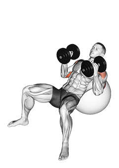 Dumbbell Incline Hammer Press on Exercise Ball exercise demonstration