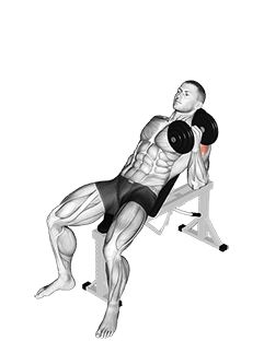 Dumbbell Incline One Arm Hammer Press exercise demonstration
