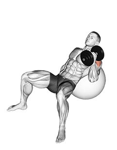 Dumbbell Incline One Arm Hammer Press on Exercise Ball exercise demonstration