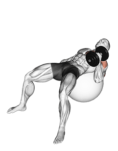 Dumbbell One Arm Hammer Press on Exercise Ball exercise demonstration