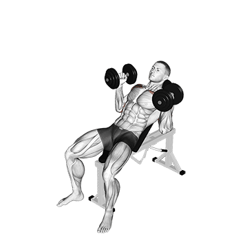 Palms In Incline Bench Press exercise demonstration