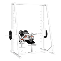 Smith Machine Decline Close Grip Bench Press exercise demonstration