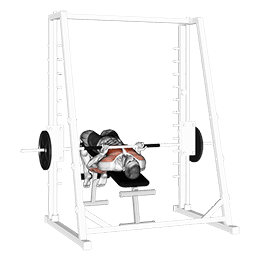 Smith Machine Reverse Decline Close Grip Bench Press exercise demonstration