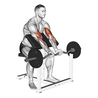 Close Grip Preacher Curl exercise demonstration for Biceps, and Upper Arms, EZ Barbell