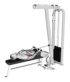 Cable Lying Bicep Curl exercise demonstration for Biceps, and Upper Arms, Cable