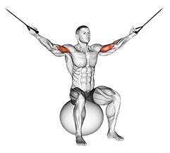 Cable Overhead Curl on Exercise Ball exercise demonstration for Biceps, and Upper Arms, Cable