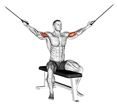 Cable Seated Overhead Curl exercise demonstration for Biceps, and Upper Arms, Cable