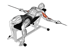 Cable Two Arm Curl on Incline Bench exercise demonstration for Biceps, and Upper Arms, Cable