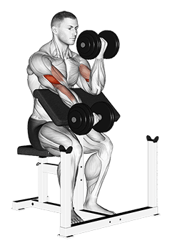 Dumbbell Alternate Preacher Curl exercise demonstration for Biceps, and Upper Arms, Dumbbell