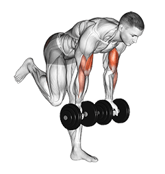 Dumbbell Bicep Curl With Stork Stance exercise demonstration for Biceps, and Upper Arms, Dumbbell