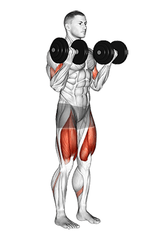 Dumbbell Biceps Curl Squat exercise demonstration