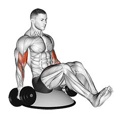 Dumbbell Biceps Curl V Sit on Bosu Ball exercise demonstration