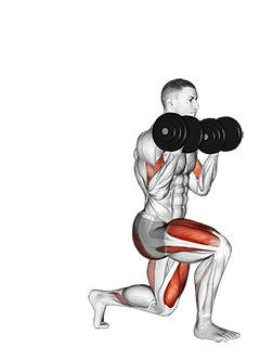 Dumbbell Lunge with Bicep Curl exercise demonstration